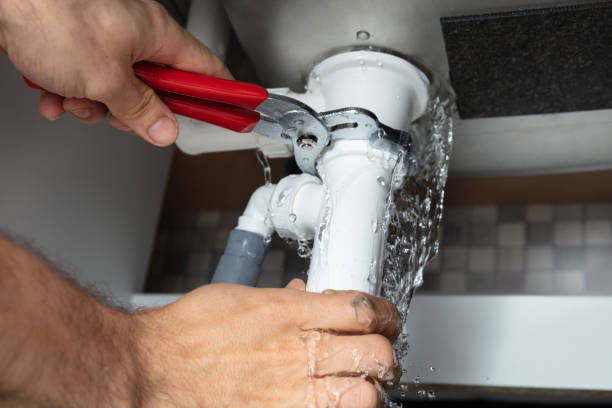Carpet water damage restoration in Dillingham, AK