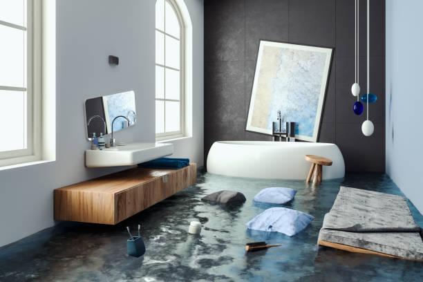 Best Water damage restoration near me  in Dillingham, AK