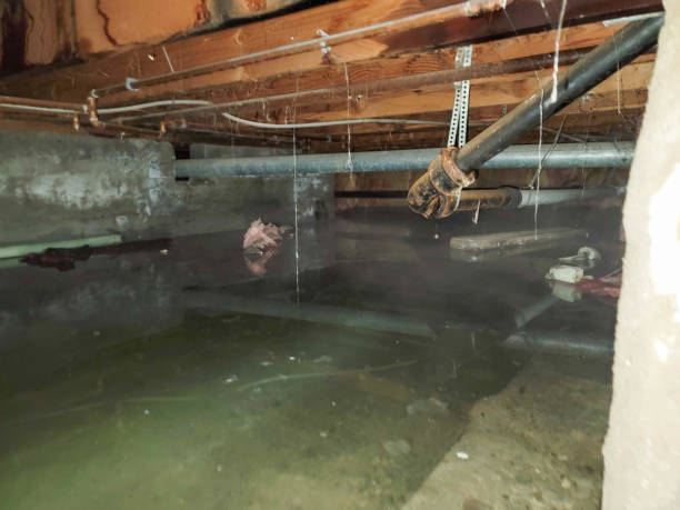 Best 24/7 water damage repair  in Dillingham, AK