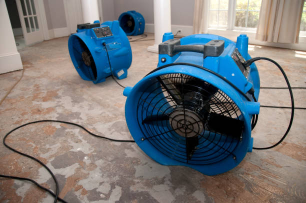 Best Flood damage cleanup  in Dillingham, AK