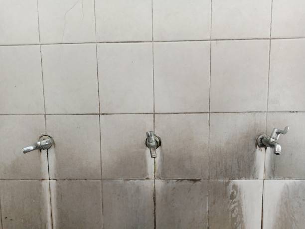 Best Fire Damage Restoration  in Dillingham, AK