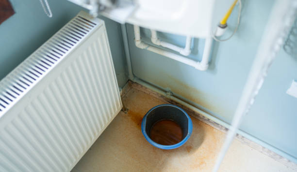 Best Ceiling water damage repair  in Dillingham, AK